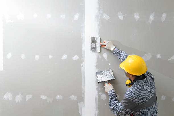 Best Crawl Space Mold Remediation  in Cresskill, NJ