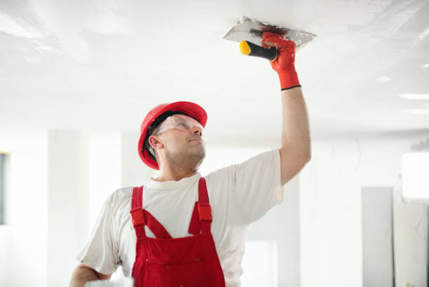Best Emergency Mold Remediation  in Cresskill, NJ