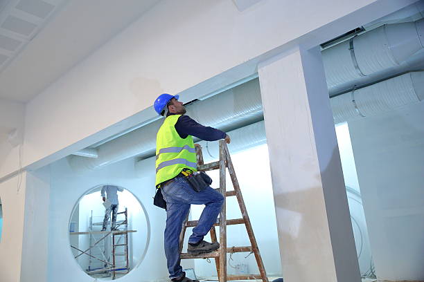 Trusted Cresskill, NJ Mold Removal Experts
